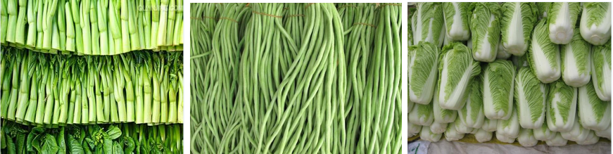 1594697647803876.png 150I422R-2.png